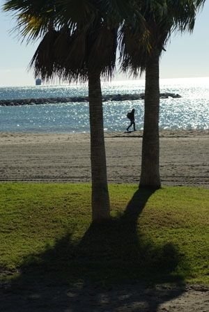 Fotografia de mysym - Galeria Fotografica: Miscel�nea - Foto: 