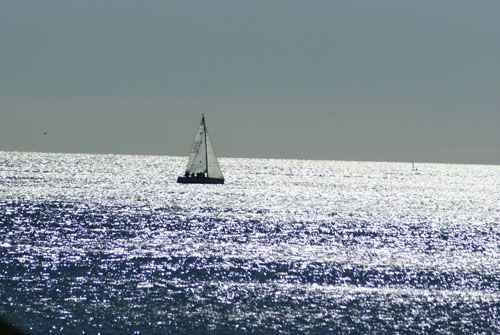 Fotografia de mysym - Galeria Fotografica: Miscel�nea - Foto: 