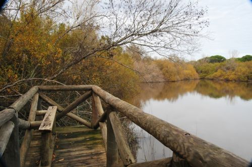 Fotografia de Luismi Galv�n - Galeria Fotografica: Atardecer en la laguna - Foto: 