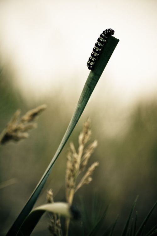 Fotografia de foto.Priganica - Galeria Fotografica: Mi mundo - Foto: cepillo dental :)