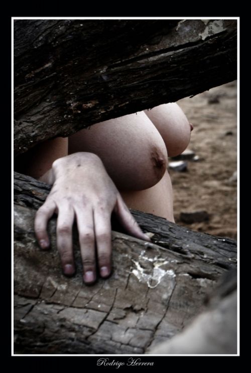 Fotografia de Rodrigo Herrera - Galeria Fotografica: Estaciones Olvidadas - Foto: 