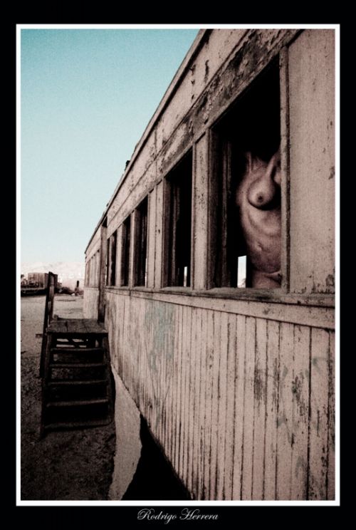 Fotografia de Rodrigo Herrera - Galeria Fotografica: Estaciones Olvidadas - Foto: 