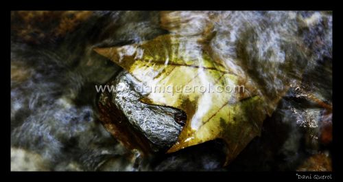 Fotografia de Dani Querol Fotografia - Galeria Fotografica: Id Side - Foto: 