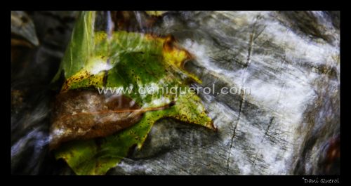 Fotografia de Dani Querol Fotografia - Galeria Fotografica: Id Side - Foto: 