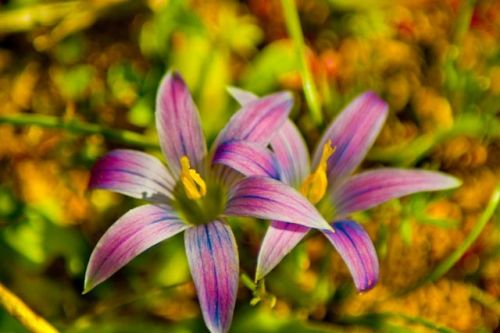 Fotografia de gejumem - Galeria Fotografica: Imagenes de Sevilla - Foto: 