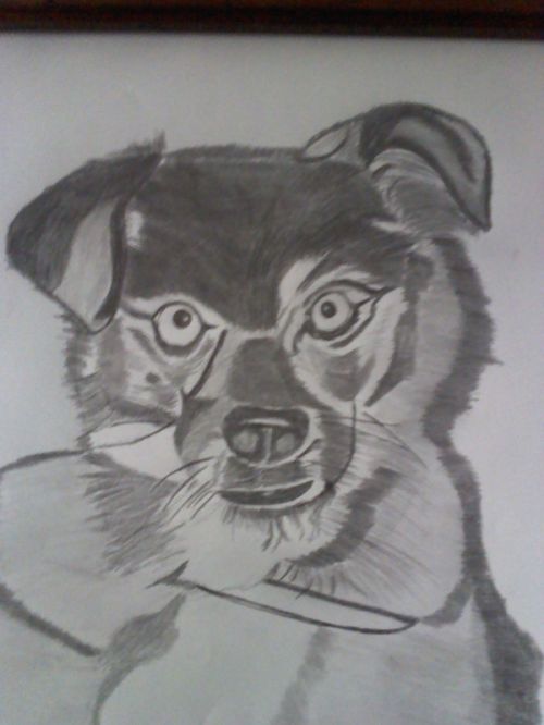 Fotografia de torresgranero - Galeria Fotografica: A  Lapiz - Foto: Consentido