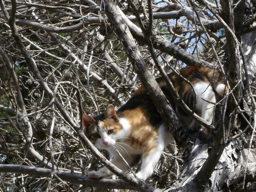 Fotografia de Kaizen sf - Galeria Fotografica: Inicizcion en Ibiza - Foto: ENRAMADO