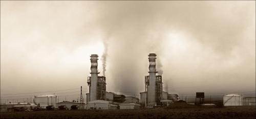 Fotografia de Cesar Ceniceros - Galeria Fotografica: Ecologa Cercana - Foto: 