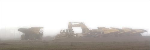 Fotografia de Cesar Ceniceros - Galeria Fotografica: Ecologa Cercana - Foto: 