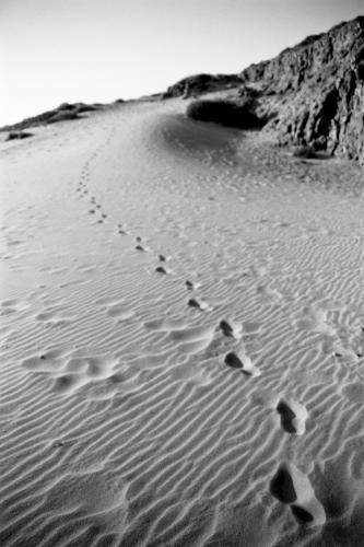 Fotografia de Javier - Galeria Fotografica: El pensador - Foto: El pensador