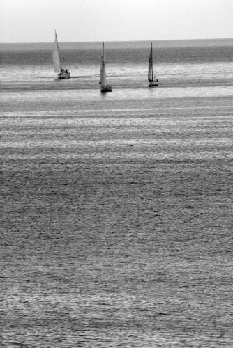 Fotografia de Daniel - Galeria Fotografica: Mar en calma - Foto: Navegando