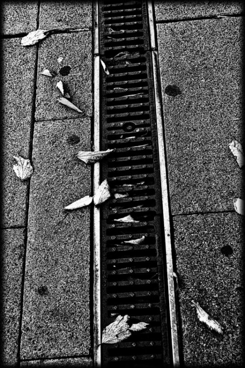 Fotografia de E. J   Photographer - Galeria Fotografica: PhotoEvolution - Foto: 