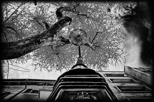 Fotografia de E. J   Photographer - Galeria Fotografica: PhotoEvolution - Foto: 