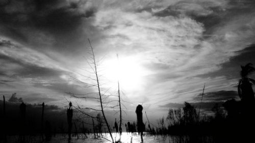 Fotografia de Alcar - Galeria Fotografica: Ms all del color - Foto: 