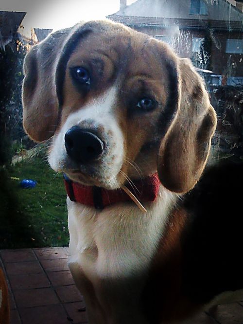 Fotografia de Enigma Fotograf�a - Galeria Fotografica: varios - Foto: 