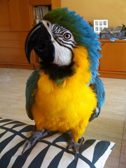 Fotografia de Enigma Fotograf�a - Galeria Fotografica: varios - Foto: 