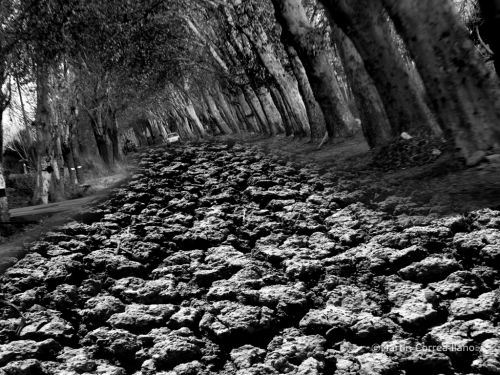 Fotografia de CURSO DE FOTOGRAFIA EN MENDOZA - Galeria Fotografica: Varias - Foto: 