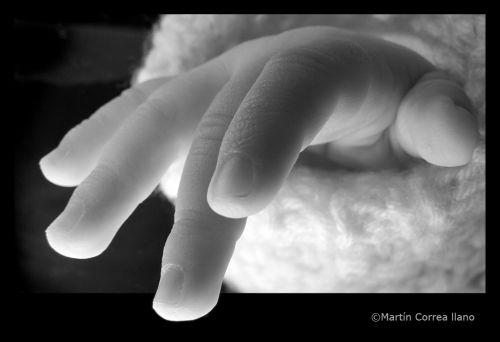 Fotografia de CURSO DE FOTOGRAFIA EN MENDOZA - Galeria Fotografica: Varias - Foto: 