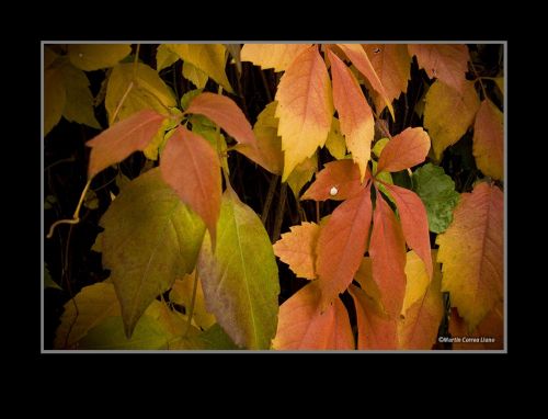 Fotografia de CURSO DE FOTOGRAFIA EN MENDOZA - Galeria Fotografica: Varias - Foto: 