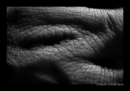 Fotografia de CURSO DE FOTOGRAFIA EN MENDOZA - Galeria Fotografica: Varias - Foto: 