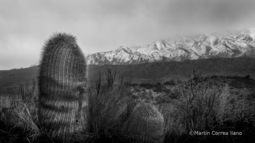 Fotografia de CURSO DE FOTOGRAFIA EN MENDOZA - Galeria Fotografica: Varias - Foto: 