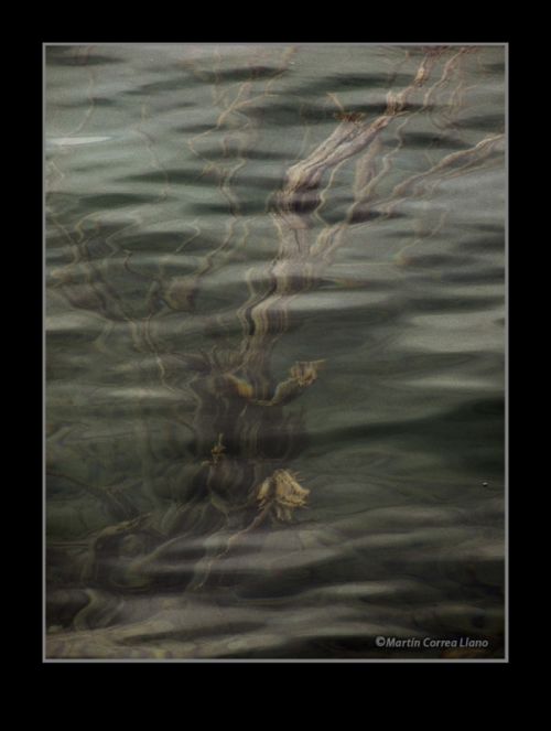 Fotografia de CURSO DE FOTOGRAFIA EN MENDOZA - Galeria Fotografica: Varias - Foto: 