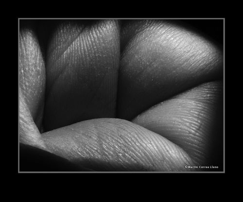 Fotografia de CURSO DE FOTOGRAFIA EN MENDOZA - Galeria Fotografica: Varias - Foto: 