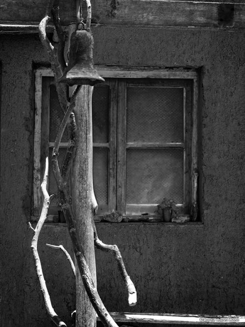 Fotografia de CURSO DE FOTOGRAFIA EN MENDOZA - Galeria Fotografica: Varias - Foto: 