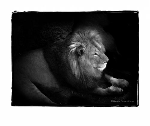 Fotografia de CURSO DE FOTOGRAFIA EN MENDOZA - Galeria Fotografica: Varias - Foto: 