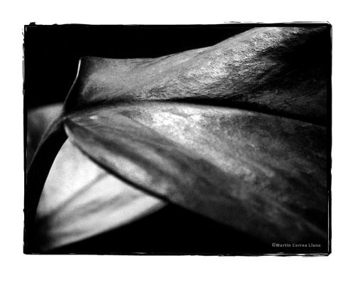 Fotografia de CURSO DE FOTOGRAFIA EN MENDOZA - Galeria Fotografica: Varias - Foto: 