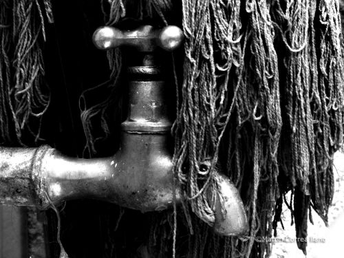 Fotografia de CURSO DE FOTOGRAFIA EN MENDOZA - Galeria Fotografica: Varias - Foto: 