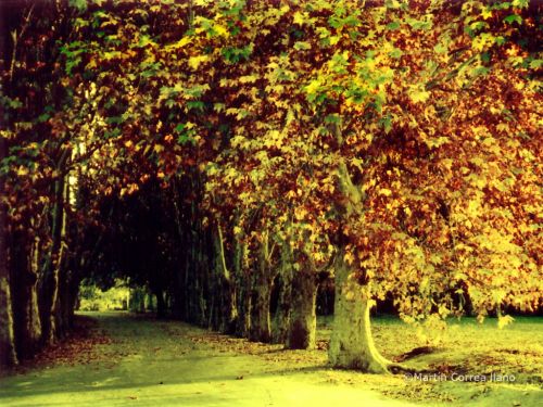 Fotografia de CURSO DE FOTOGRAFIA EN MENDOZA - Galeria Fotografica: Varias - Foto: 