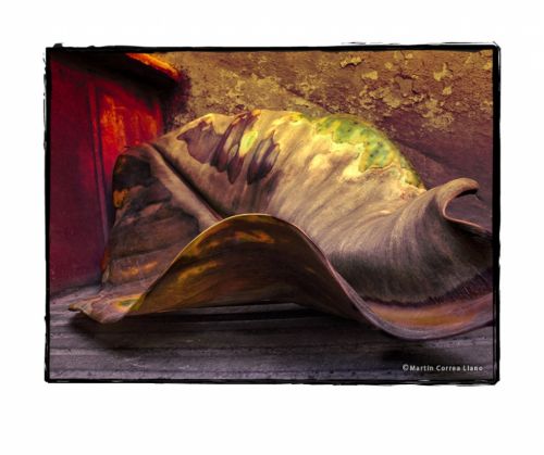 Fotografia de CURSO DE FOTOGRAFIA EN MENDOZA - Galeria Fotografica: Varias - Foto: 