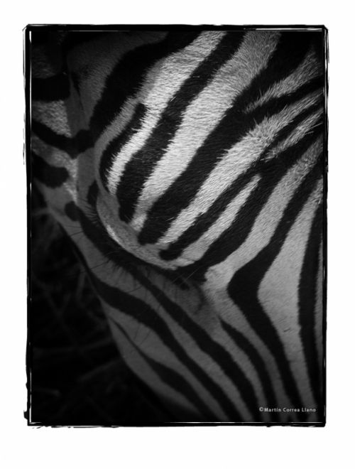 Fotografia de CURSO DE FOTOGRAFIA EN MENDOZA - Galeria Fotografica: Varias - Foto: 