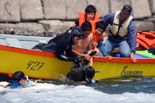 Fotografia de Rodrigo Herrera - Galeria Fotografica: Danza con lobos...marinos - Foto: 