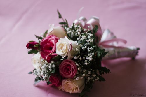 Fotografia de kelvin - Galeria Fotografica: Fotografa de Bodas en Chiriqu - Foto: 