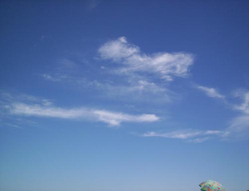 Fotografia de  - Galeria Fotografica: NECOCHEA, LAS MEJORES PLAYAS ARGENTINAS - Foto: HORIZONTE PERFECTO