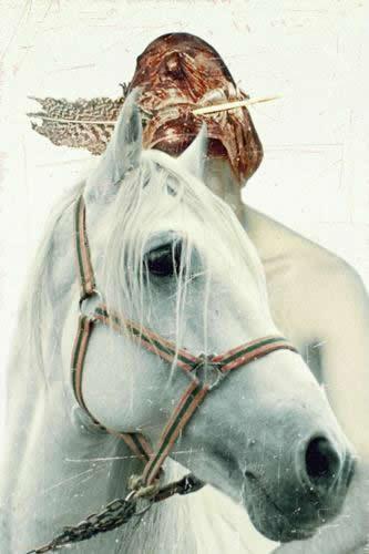 Fotografia de kukala - Galeria Fotografica: composicin - Foto: 