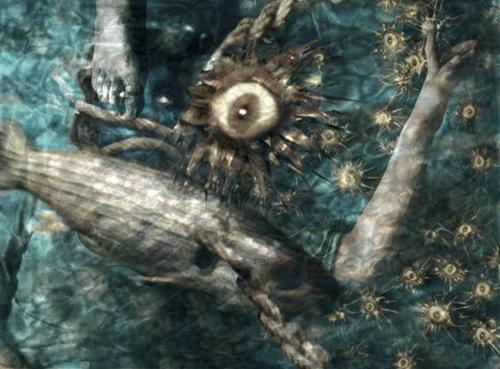 Fotografia de kukala - Galeria Fotografica: composicin - Foto: 