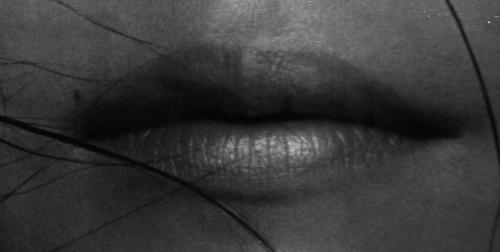 Fotografia de max - Galeria Fotografica: mis fotos - Foto: gato