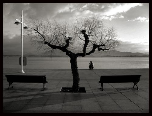 Fotografia de max - Galeria Fotografica: mis fotos - Foto: bahia santander