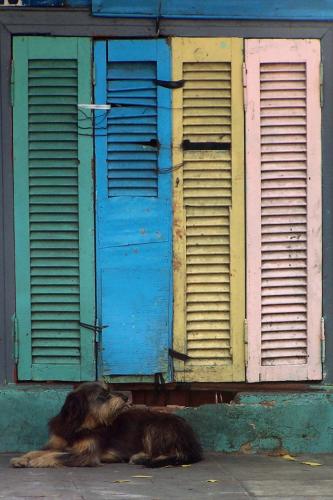 Fotografia de Soro - Galeria Fotografica: Ch� tango Ch� - Foto: Boca 3