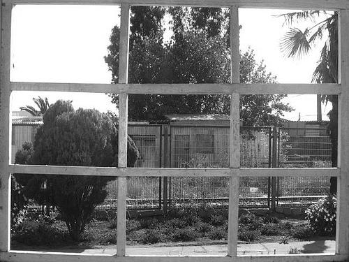 Fotografia de Andres Alvarez - Galeria Fotografica: Andrex - Foto: 