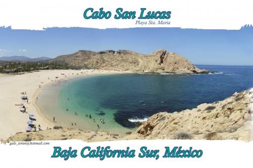 Fotografia de Galo - Galeria Fotografica: playas de la Baja - Foto: santa maria