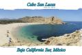 Foto de  Galo - Galería: playas de la Baja - Fotografía: santa maria
