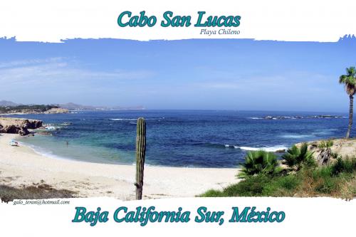 Fotografia de Galo - Galeria Fotografica: playas de la Baja - Foto: Chilenos