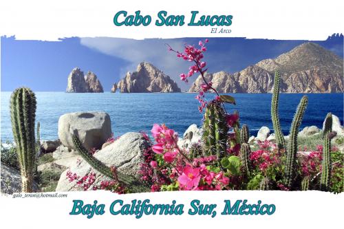 Fotografia de Galo - Galeria Fotografica: playas de la Baja - Foto: el arco