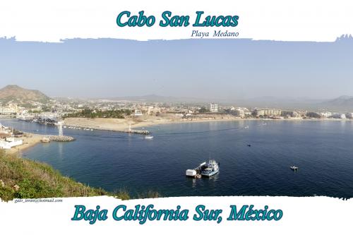 Fotografia de Galo - Galeria Fotografica: playas de la Baja - Foto: medano