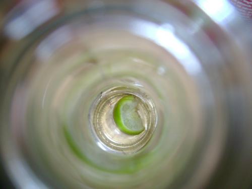 Fotografia de Ricardo - Galeria Fotografica: Un mundo colorido - Foto: en el fondo