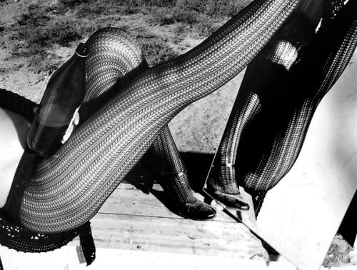 Fotografia de PROFOTO RENTAL CANARIAS - Galeria Fotografica: personal - Foto: 								